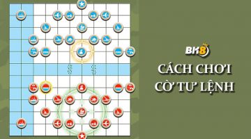 Cờ tư lệnh là gì
